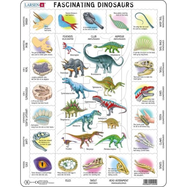 Dinosaurios fascinantes inglés