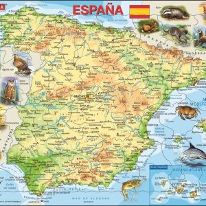 Mapa España Física